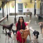 Adah Sharma Instagram - Please listen to the voices of animals, they might speak in a language we don't understand but they too feel pain , just like us . This is an appeal to bring up the Prevention of cruelty to animals amendment bill in the Monsoon Session of the Parliament . The price of the life of an innocent animal is 50 rupees right now?? 😱 #NoMore50 When any fine for any crime is a large amount , people think twice or hesitate before they commit it . Violence to any being reflects as violence in society . I request all of you to appeal to @narendramodi @parshottam.rupala to up the punishment for such perversion drastically . #AmendPCA #StopAnimalCruelty