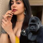 Adah Sharma Instagram - If you punch yourself in the face and get hurt are you Strong or Weak ? #100YearsOfAdahSharma #adahsharma