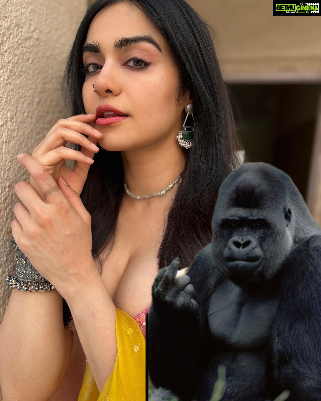 Adah Sharma Instagram - If you punch yourself in the face and get hurt are you Strong or Weak ? #100YearsOfAdahSharma #adahsharma