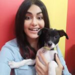 Adah Sharma Instagram – Every dog has his/hers/their ̶D̶a̶y̶ dump 💩💩💩💩
#100YearsOfAdahSharma #adahsharma