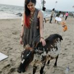 Adah Sharma Instagram – Photographic evidence of me flirting with 
 गाय ‘s on set …. Also itnaaa bada smile n all I don’t do unless I’m around my kinda guys 😁🤓 #100YearsOfAdahSharma #adahsharma #cow #cowgirl #calf #socutebabycalf