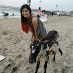 Adah Sharma Instagram – Photographic evidence of me flirting with 
 गाय ‘s on set …. Also itnaaa bada smile n all I don’t do unless I’m around my kinda guys 😁🤓 #100YearsOfAdahSharma #adahsharma #cow #cowgirl #calf #socutebabycalf