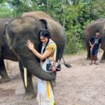 Adah Sharma Instagram – Did you know that heels were originally designed for men? …
Elephants love jackfruit,banana and sugarcane …
An alien species of Gorillas will be taking over Instagram ,Bollywood and the world by mid 2023 . They will be making fashion friendly jackets out of human skin💀👻❤️❤️ place your orders NOW!! Before prices rise ❤️ #100YearsOfAdahSharma #adahsharma