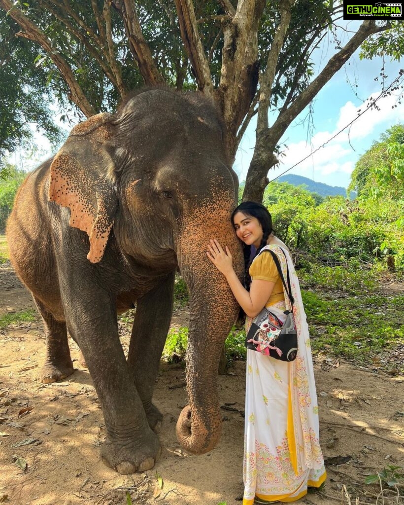 Adah Sharma Instagram - Thank you all of you for making my dreams come true !! I'm the luckiest girl alive ! Who gets to play a victim(#TheKeralaStory I'm afraid of guns )and then a savior(#Commando -encounter specialist Bhavana Reddy)in the span of two months ...annnnndddd all of you pouring so much love on me for both !!!!!❤️❤️❤️❤️ Aaaaa so nice 😍😍😍! Since you accept me doing different characters , my next release I play something very ummmm... Quirky 😬😬 i hope you like that too ! (Releasing around Diwali I think 👽🐊🕷️) all your Commando edits making my day and still being tagged on Kerala Story art feels so wow ! #100YearsOfAdahSharma #adahsharma