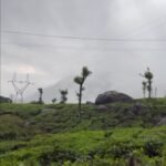 Aditi Balan Instagram -