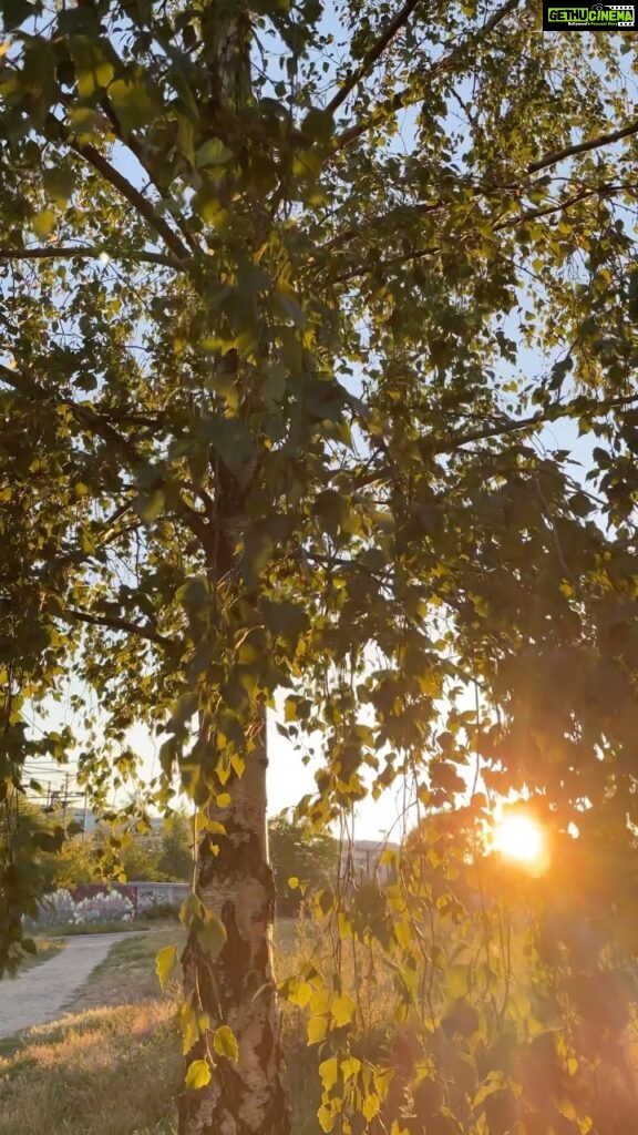 Aditi Chengappa Instagram - Serenity 🙏 . . . #ruheinfrieden #sunset #peaceful #sonnenschein #sunshine #peace #berlin #ilovetrees #nature #natur #berlincity #berlinliebe #expatsinberlin #indiansingermany Mitte
