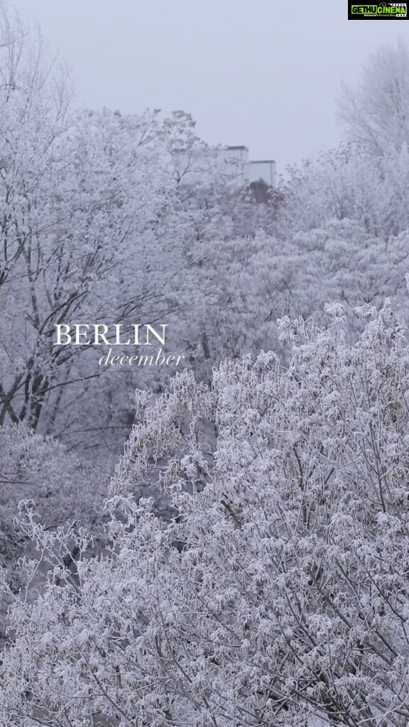 Aditi Chengappa Instagram - An unforgettable sight! Icy silver trees ❄ . . . #berlin #winterwonderland #winter #snow #snowday #naturelovers #berlincity #berlinwinter #berlinberlin #berlingram #expatsingermany #indiansingermany #eis #bäume #visitberlin #mitte #canon80d #canonphotography #canondeutschland Mitte