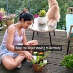 Aditi Chengappa Instagram – (Auf Deutsch unten) I think it’s wrong that we have been taught to believe that we can only have roots in one place, and that if we are uprooted, then we have somehow lost ourselves, and plants are the reason why!

Ich denke, es ist falsch, dass uns beigebracht wurde zu glauben, dass wir nur an einem Ort Wurzeln schlagen können und dass wir uns selbst verloren haben, wenn wir entwurzelt werden, und Pflanzen sind der Grund dafür! 
Unter den vielen Dingen, die mich die Pflanzen gelehrt haben, ist dies vielleicht eines meiner Lieblingslektionen! 
Jede einzelne meiner Pflanzen hat es geliebt, entwurzelt zu werden oder ihre Wurzeln beschneiden zu lassen. Und wenn ich sie in einen neuen Topf setze, treiben sie neue Wurzeln und blühen sogar noch üppiger! 
Als ich also den ganzen Weg von Indien nach Deutschland zog, hatte ich keine Angst, meine Wurzeln zu verlieren, ich habe einige alte mitgenommen, und ich pflanze hier neue🌿
:
:
:
#expatslife #expatsingermany #expatsinberlin #indiansingermany #indiansinberlin #movingcountries #immigration #real #gardening #plantlover #mintplant #peaceful #slowlife #cats #katzenliebe #katzenleben #cutecats #fluffycats #slowliving #sunset #goldenhour #wellness #wellnessjourney #thatgirl #relaxing #soothing #clairdelune #garten #gartenliebe #minze Berlin, Germany