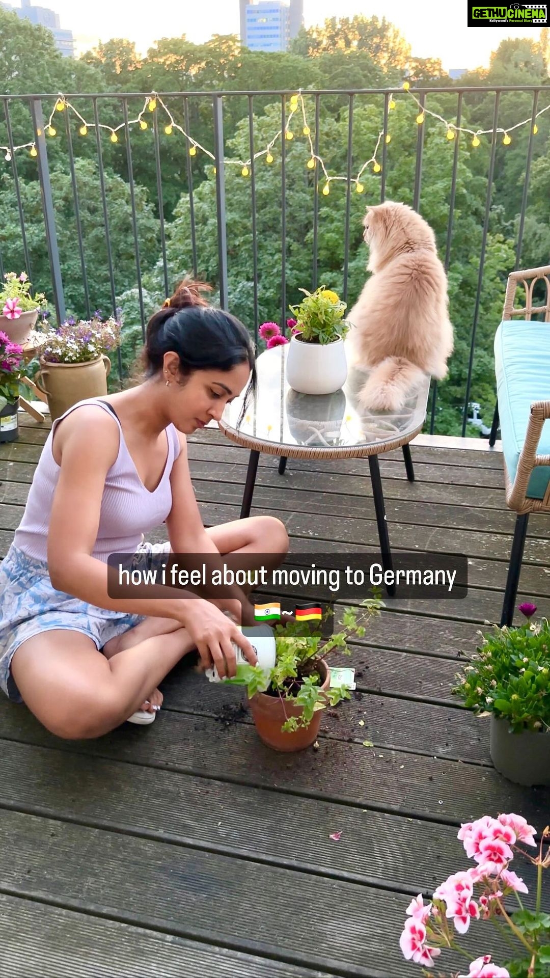 Aditi Chengappa - 479 Likes - (Auf Deutsch unten) I think it’s wrong that we have been taught to believe that we can only have roots in one place, and that if we are uprooted, then we have somehow lost ourselves, and plants are the reason why!
Ich denke, es ist falsch, dass uns beigebracht wurde zu glauben, dass wir nur an einem Ort Wurzeln schlagen können und dass wir uns selbst verloren haben, wenn wir entwurzelt werden, und Pflanzen sind der Grund dafür!
Unter den vielen Dingen, die mich die Pflanzen gelehrt haben, ist dies vielleicht eines meiner Lieblingslektionen!
Jede einzelne meiner Pflanzen hat es geliebt, entwurzelt zu werden oder ihre Wurzeln beschneiden zu lassen. Und wenn ich sie in einen neuen Topf setze, treiben sie neue Wurzeln und blühen sogar noch üppiger!
Als ich also den ganzen Weg von Indien nach Deutschland zog, hatte ich keine Angst, meine Wurzeln zu verlieren, ich habe einige alte mitgenommen, und ich pflanze hier neue🌿
:
:
:
#expatslife #expatsingermany #expatsinberlin #indiansingermany #indiansinberlin #movingcountries #immigration #real #gardening #plantlover #mintplant #peaceful #slowlife #cats #katzenliebe #katzenleben #cutecats #fluffycats #slowliving #sunset #goldenhour #wellness #wellnessjourney #thatgirl #relaxing #soothing #clairdelune #garten #gartenliebe #minze