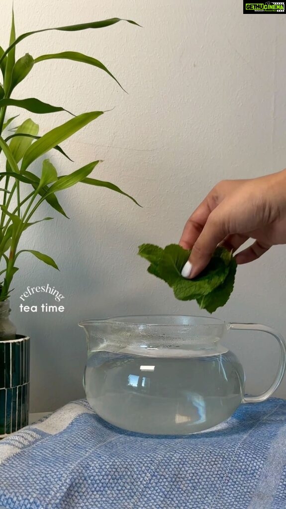 Aditi Chengappa Instagram - SAVE this as a reminder to add mint leaves to your next tea brew ☕ If you’re like me and want to have a cup of tea even when it’s hot weather, this is the perfect solution ✅🌿 . . . tea, teatime, aesthetic, asmr, healthy, vegan, homecafe : #GesunderLebensstil #Morgenroutine #Wellnessreise #Motivationsvideos #Selbstpflegetipps #wellnesstips #wellnessreels #fitnessinspo #thatgirl #healthyeating #postivemindset #expatsingermany #homecafe #pinterestaesthetic #productiveday #routine #aestheticvideos #lifestyleinspo #wellness #homecafe #manifest #manifestation #goalsetting #indiansingermany #teatime Berlin, Germany