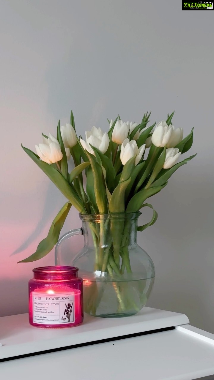 Aditi Chengappa Instagram - thank you . . . #grateful #gratitude #gratitudeattitude #GesunderLebensstil #Morgenroutine #Wellnessreise #Motivationsvideos #Selbstpflegetipps #wellnesstips #wellnessreels #fitnessinspo #thatgirl #healthyeating #postivemindset #selfcare #tulips #pinterestaesthetic #productiveday #routine #aestheticvideos #lifestyleinspo #wellness #morningroutine #manifest #manifestation #goalsetting #2023glowup #2023goals #expatsingermany #indiansingermany Berlin, Germany
