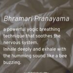 Aditi Chengappa Instagram – SAVE THIS dear sleepless soul ✨
For a demonstration of the pranayama you will find a video in my yoga guide in the guides section of the my profile ✅
.
.
.

#GesunderLebensstil #Wellnessreise #Motivationsvideos #Selbstpflegetipps #wellnesstips #wellnessreels #fitnessinspo #thatgirl #healthyeating #postivemindset #selfcare #selfcare #pinterestaesthetic #productiveday #routine #expatsingermany #lifestyleinspo #wellness #manifest #manifestation #goalsetting #2023glowup #2023goals #insomnia #yogatips #yogainspiration #yogaforbeginners #bohostyle Berlin, Germany