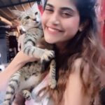 Aditi Sudhir Pohankar Instagram - In the jungle the mighty jungle the lion sleeps tonight ! Shot by @santamruta
