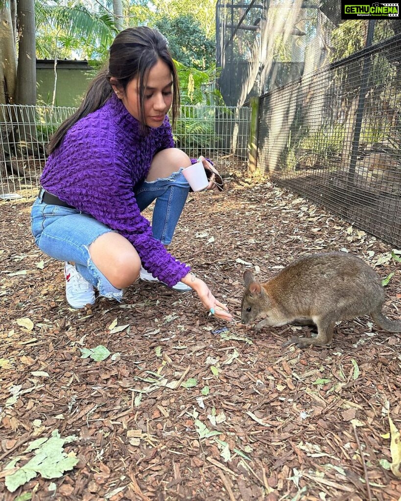 Aishwarya Dutta Instagram - Koala u r so cute ❤️