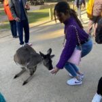 Aishwarya Dutta Instagram - Koala u r so cute ❤️