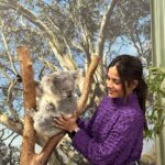 Aishwarya Dutta Instagram - Koala u r so cute ❤️