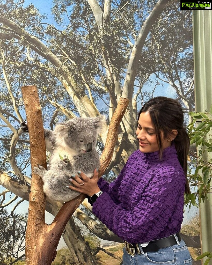 Aishwarya Dutta Instagram - Koala u r so cute ❤️