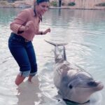 Aishwarya Rajesh Instagram – Beautiful experience watching n playing with Dolphins @seaworldaus 
Thanks @pickyourtrail for quick arrangements 😍