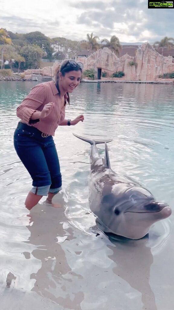 Aishwarya Rajesh Instagram - Beautiful experience watching n playing with Dolphins @seaworldaus Thanks @pickyourtrail for quick arrangements 😍