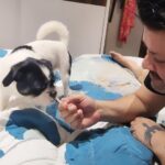 Aishwarya Sakhuja Instagram - THIS IS NOT CONTENT OR A REEL... ITS REAL... THIS IS HOW WE SPEND OUR EVENINGS...EVERYDAY❤️❤️❤️ @floki_and_hippie is a fussy fussy eater. All day long he goes without asking for our undivided attention but post 9 PM he makes sure we are all his. From playing fetch to mimicing various actors excitedly actually gets him to eat his food everyday and WE LOVE IT #instagood #familia #love #petparent #shichi #instareels #instamood P.S. @rohitnag9 has proven to be a fantastic father❤️