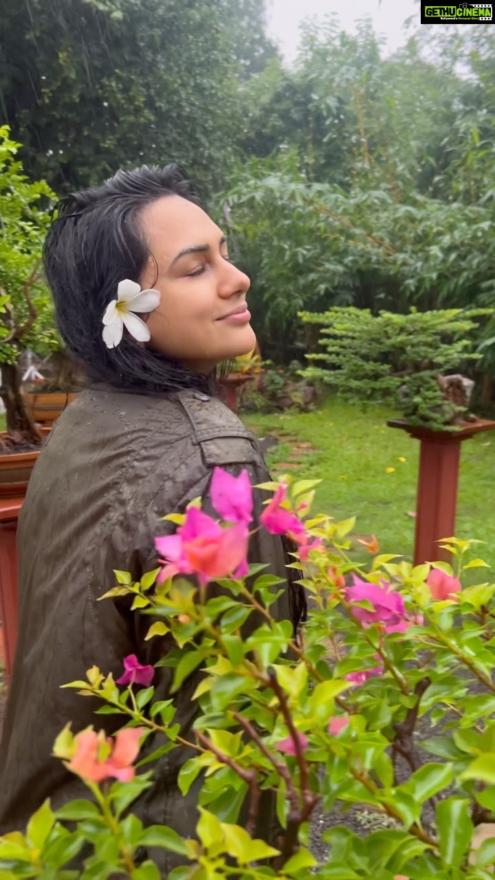 Akansha Chamola Instagram - This monsoons Come fall in love with 70 acres of this magically serene property along with your beloved furry pals , family and friends……. #petfriendly 🐶🐱 Book now & experience an ideal weekend leisure Reservation: Tel +917030959070 / 91 2148 250 000 /reserve@urivergatekarjat.com / www.urivergatekarjat.com #travelinspiration #travelindia #maharashtratourism #monsoonmastioffer #nature #travel #landscape #weekendvibes #india #absolutehotelservices #luxurylifestyle #uresorts #karjat #urivergate #weekendgetaway #petfriendlyhotel #worldtourism #indiatravelgram #travelandtourism #monsoonvibes #travelreels #travelrealindia #reelsindia #travelinstyle #reelviral