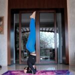 Alaya F Instagram - Holidays, yoga, the gym, art, friends and food💕 #dump