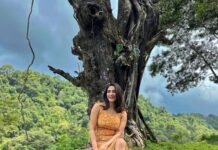 Ameya Mathew Instagram - ഈ പ്രകൃതി വളരെ സുന്ദരമാണ്... ഈ ക്യാപ്ഷൻ വായിക്കുന്ന നിങ്ങളോരോരുത്തരും പോലെ....🍃🌴🌱🥰 . 📸 @kirankatticaran 😘 Coorg,Karnataka