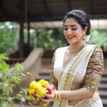 Ameya Mathew Instagram - അവിട്ടം ദിനാശംസകൾ !🌼🌸✨🤩 . Photographer @robin_fotografia Wearing @revathyjayanbabu MUA @soniyamakeoverstudio Ornaments @parakkat_jewels Location @kalpadiyil #onam #onamvibes #🌼 Trivandrum, India