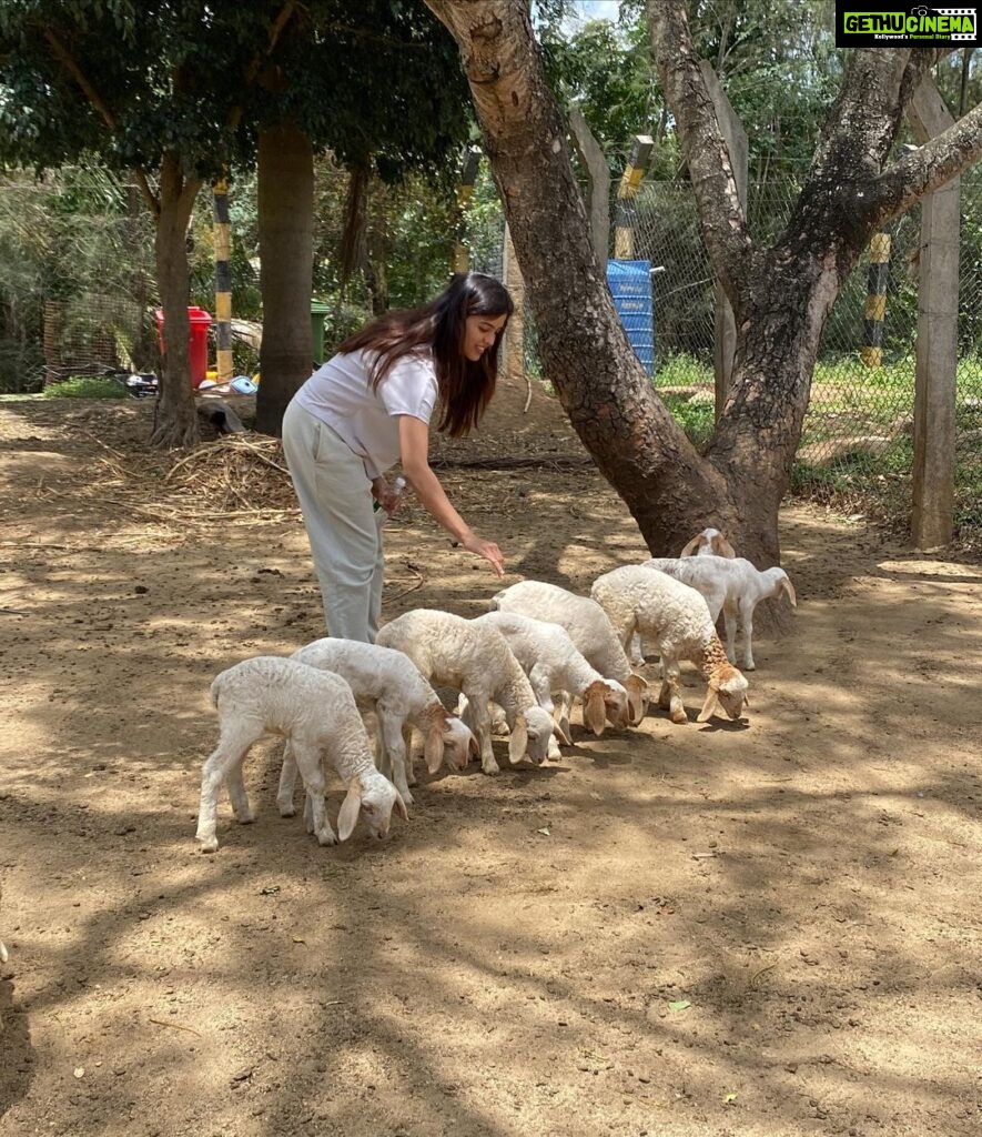 Amritha Aiyer Instagram - The air , the peace , good food and with my people around is the best feeling ever. Thanks to @holidayvalleyfarmlandandresort @holidayvalley_resorts who made my vacation so special. I must tell you , to those who live in the city and feel you need some peace for some days then this is the best place ever !!
