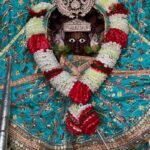 Anagha Bhosale Instagram - Happy birthday Dau🎂♥️🦚✨#balrampurnima Please take Darshan everyone & swipe⬅️ #happybalrampurnima 2023 #oureternalguru Please start chanting Hare chanting mahamantra #harekrishnaharekrishnakrishnakrishnahareharehareramahareramaramaramaharehare