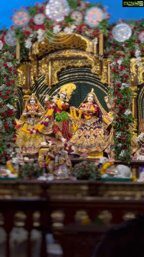 Anagha Bhosale Instagram - Brahmotsav 2023 ….Happy Birthday 🎂 Sri Sri Radha Gopinath ji ♥️🦚✨