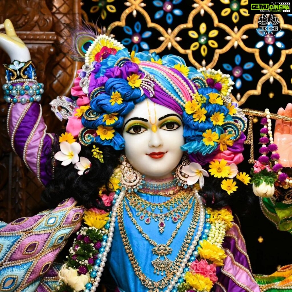 Anagha Bhosale Instagram - Anyone who comes before Radharani to serve Krishna, oh, She becomes so pleased, ‘Oh here is a devotee of Krishna.’ She immediately recommends. ‘Oh Krishna, here is a devotee...’ This is Radharani. I may not be a devotee. I may be a most fallen rascal. But if I try to reach Krishna through Radharani then my business is successful.” (Srila Prabhupada, Radhastami Lecture, 5th September 1973, London) . . . . . #radhekrishna #RadhaKrishnaLove #radhashtami #radheradhe #islcongev #iskcon #GovardhanEcoVillage Govardhan Eco Village (GEV) - Sri Radha Vrindavanbihari Temple, Mumbai.