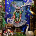 Anagha Bhosale Instagram - Krishna Janmashtami 🌺❤️ Sri sri radha Gopinath ji