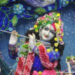 Anagha Bhosale Instagram - Krishna Janmashtami 🌺❤️ Sri sri radha Gopinath ji