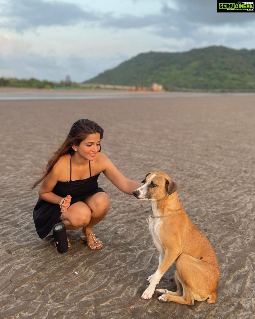 Anaika Soti Instagram - Made a new best friend on the beach. He was the goodest boi 🐕🐶🦴