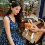 Anaika Soti Instagram - Nature's best gift to Mankind ❤️🐶