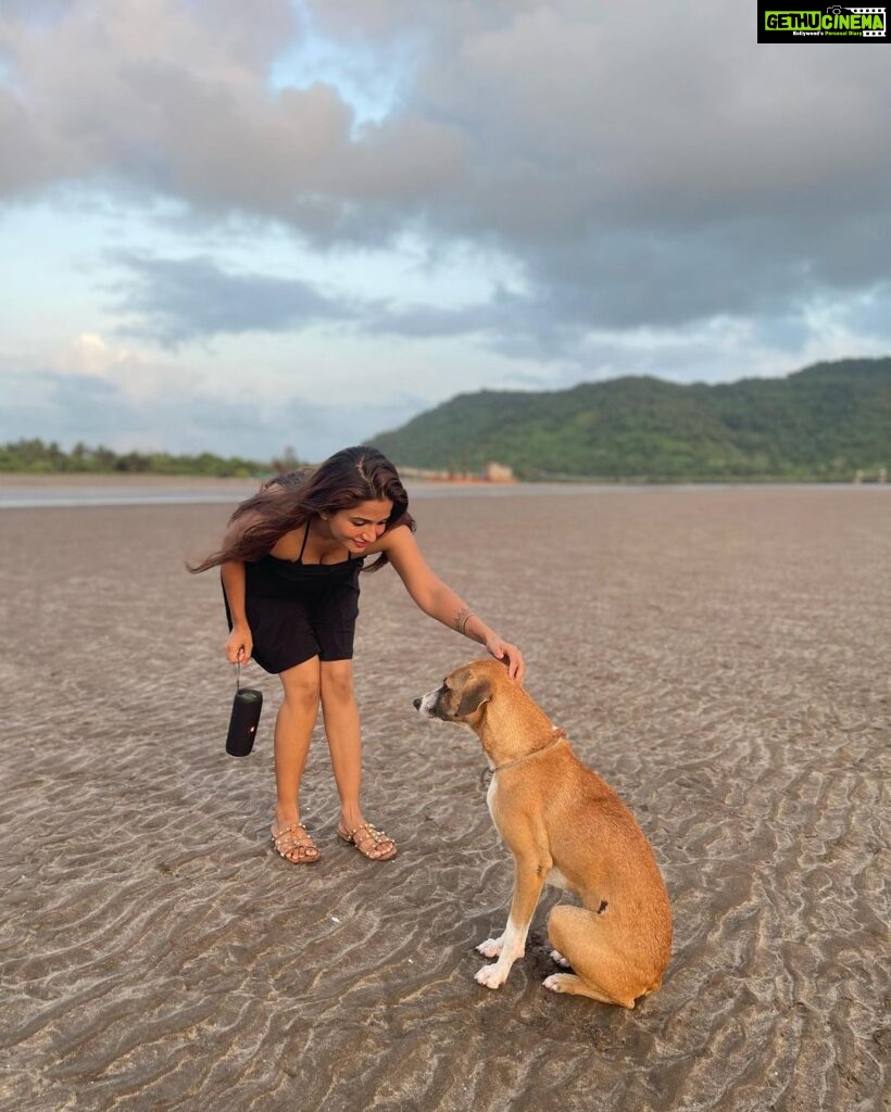 Anaika Soti Instagram - Made a new best friend on the beach. He was the goodest boi 🐕🐶🦴