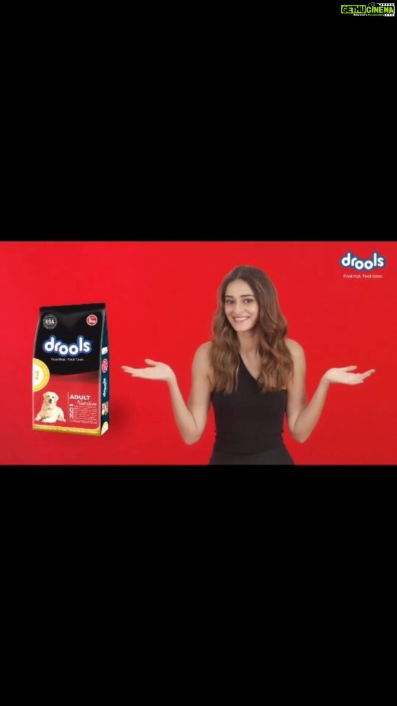 Ananya Panday Instagram - Fuel your furry friend’s diet with a bowl of wholesome goodness with Drools Daily Nutrition! 🐶🐾 A power-packed meal made with 100% Real Ingredients & 0 By-products. It ensures optimum digestion, skin & coat health, stronger bones & teeth, along with a finger-licking taste that your pets won’t stop DROOL-ing over! Drools- Feed Real Feed Clean ❤️🐾 #drools #petfood #feedrealfeedclean #petnutrition #petlovers
