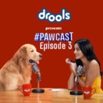 Ananya Panday Instagram – In the latest episode of the Drools Pawcast, we see @ananyapanday having a total blast playing Kaun Banega K-9 with Aaryan ❤️🎙️We’re lowkey glad Astro couldn’t make it 🤭 

But who likes to miss a good party? Aaryan certainly doesn’t! @ananyapanday grabbed onto as many @droolsindia goodies as she could, & they rushed to join Astro & his buddies! 

Because a pawpal’s party would be incomplete without his favorite DROOLS food & treats!! 🐾❤️

#pawcast #droolsindia #podcast #petlife #dogmom #petfood #petparents
