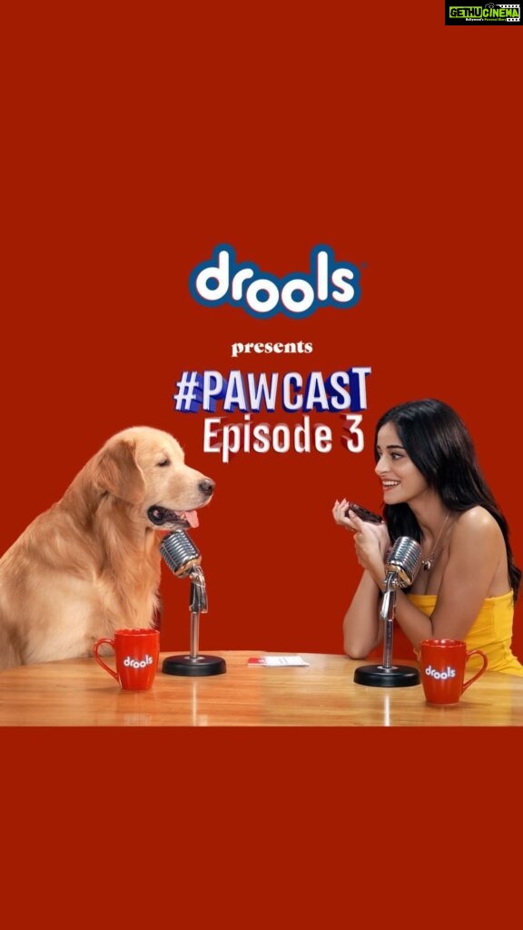 Ananya Panday Instagram - In the latest episode of the Drools Pawcast, we see @ananyapanday having a total blast playing Kaun Banega K-9 with Aaryan ❤️🎙️We’re lowkey glad Astro couldn’t make it 🤭 But who likes to miss a good party? Aaryan certainly doesn’t! @ananyapanday grabbed onto as many @droolsindia goodies as she could, & they rushed to join Astro & his buddies! Because a pawpal’s party would be incomplete without his favorite DROOLS food & treats!! 🐾❤️ #pawcast #droolsindia #podcast #petlife #dogmom #petfood #petparents