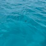 Ananya Panday Instagram - blue baby 💙🥶🦋🐬🐋🦕🪁🧢🪣🧞‍♂️