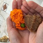 Ananya Panday Instagram - Waheguru Ji Ka Khalsa Waheguru Ji Ki Fateh 🤍🙏🏼 Sabr. Shukr. Simran. 🕊️ Bangla Sahib Gurdwara