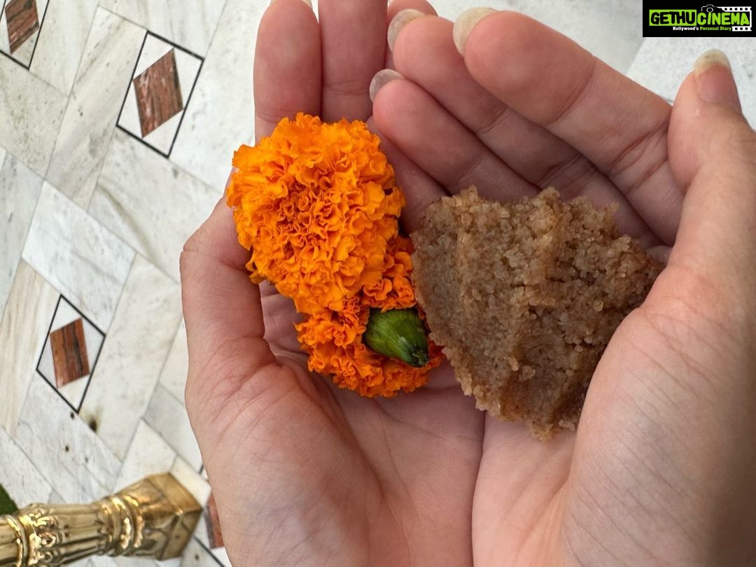 Ananya Panday Instagram - Waheguru Ji Ka Khalsa Waheguru Ji Ki Fateh 🤍🙏🏼 Sabr. Shukr. Simran. 🕊️ Bangla Sahib Gurdwara
