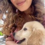 Anisha Victor Instagram - He was Pawfect 🐾 ❤️ #dogsofinstagram #puppy #coactor #shootday #setlife