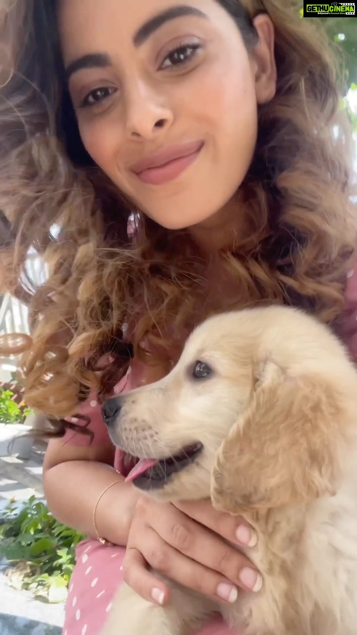 Anisha Victor Instagram - He was Pawfect 🐾 ❤️ #dogsofinstagram #puppy #coactor #shootday #setlife