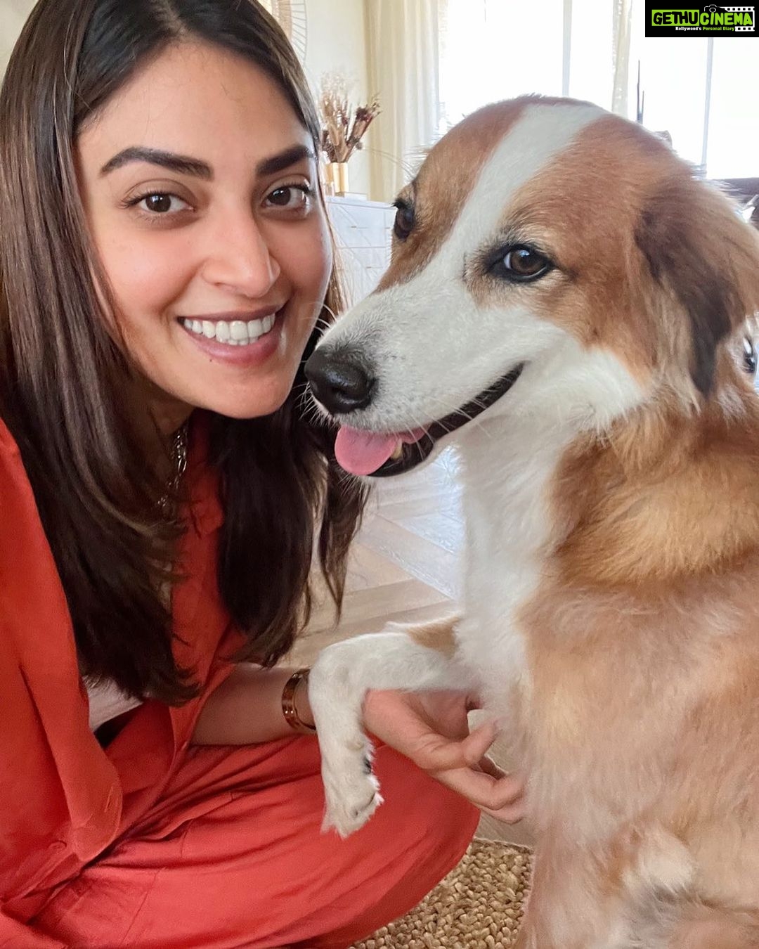 Anushka Ranjan Instagram - Mija appreciation post🐶