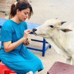 Anusree Instagram – Give your love and affection towards animals….will be returned in abundance from them..more than humans….😍😍🐈🐕🐰🐇❤️❤️❤️