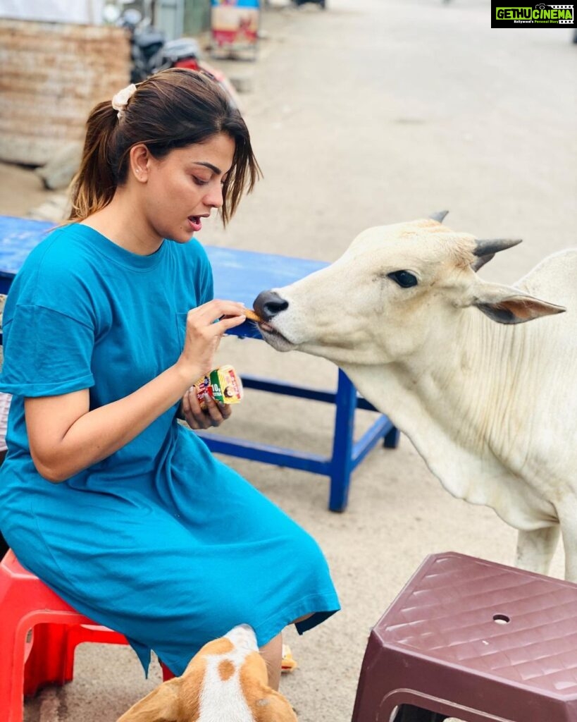 Anusree Instagram - Give your love and affection towards animals....will be returned in abundance from them..more than humans….😍😍🐈🐕🐰🐇❤️❤️❤️