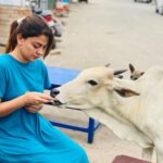 Anusree Instagram – Give your love and affection towards animals….will be returned in abundance from them..more than humans….😍😍🐈🐕🐰🐇❤️❤️❤️