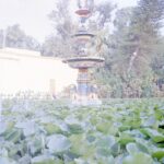 Apoorva Arora Instagram - Shot on film 🎞️ Kodak colorplus @zhenwei.film